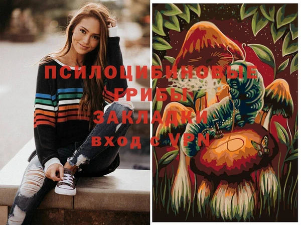 скорость Баксан