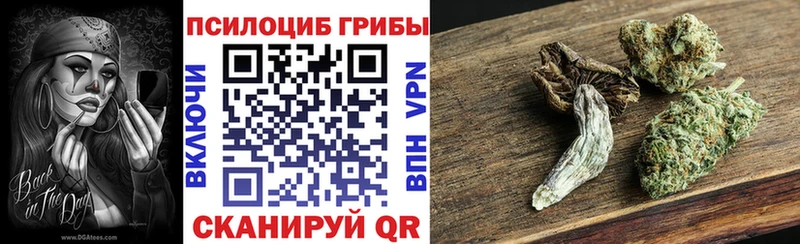 Галлюциногенные грибы Psilocybine cubensis Полысаево