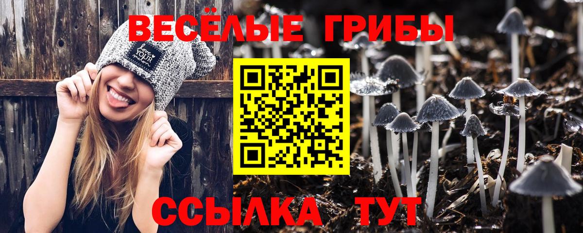 Псилоцибиновые грибы MAGIC MUSHROOMS Полысаево